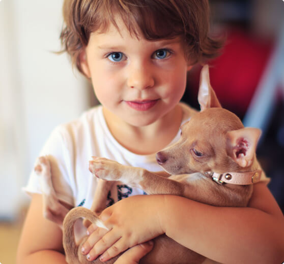 Adrenalinexp blog-details-01 A Brief History Of Adopting Adorable Pets 