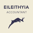 Eileithyia - Accountant Website Template by Jupiter X WP Theme