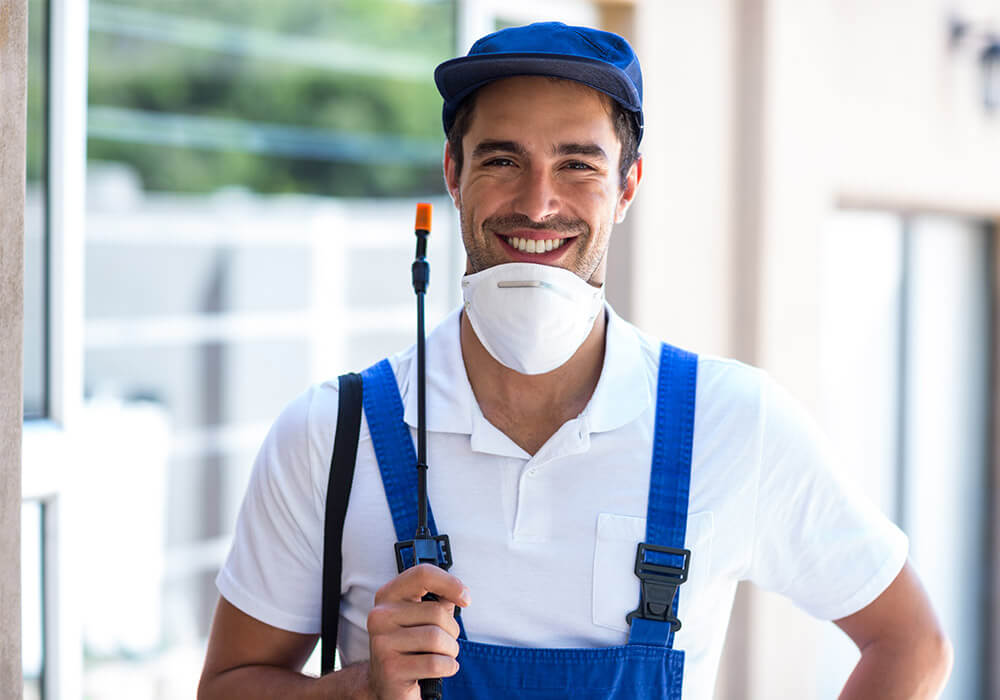 Know the Significance of Choosing Best Pest Control Service