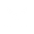 pariatur